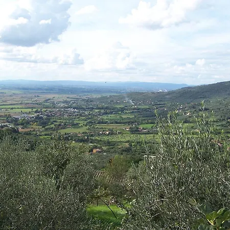 别墅 橘园别墅 *